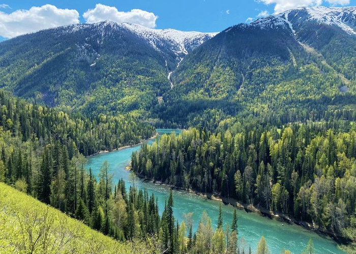 阿勒泰喀纳斯景区。受访者供图
