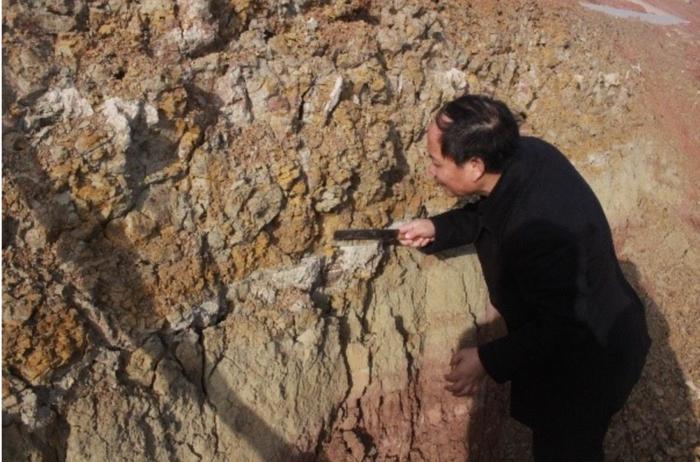 西北大学地质工程学家王家鼎：把脉黄土，夯实安全生命线