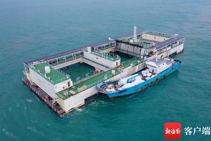　　乐东龙栖湾海洋牧场。资料图