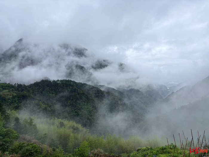 ▲四都乡山景