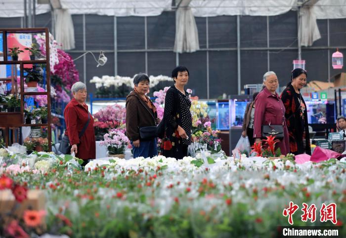 5月7日，四川成都，市民游客在成都世园会郫都分会场选购花卉。中新社记者 王磊 摄