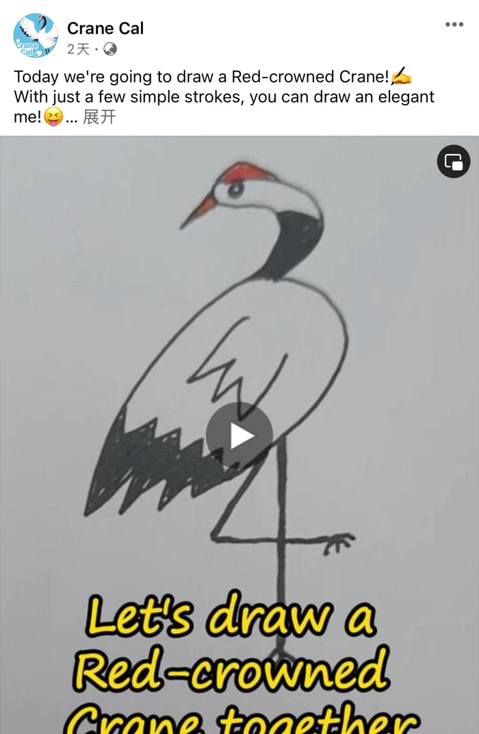 丹顶鹤简笔画英文教学视频