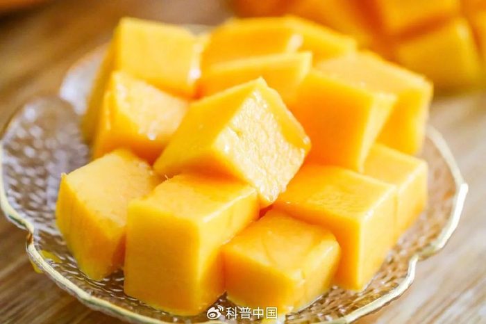 版权图库图片，转载可能引发版权纠纷