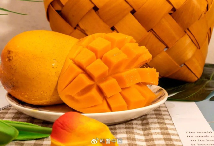 版权图库图片，转载可能引发版权纠纷