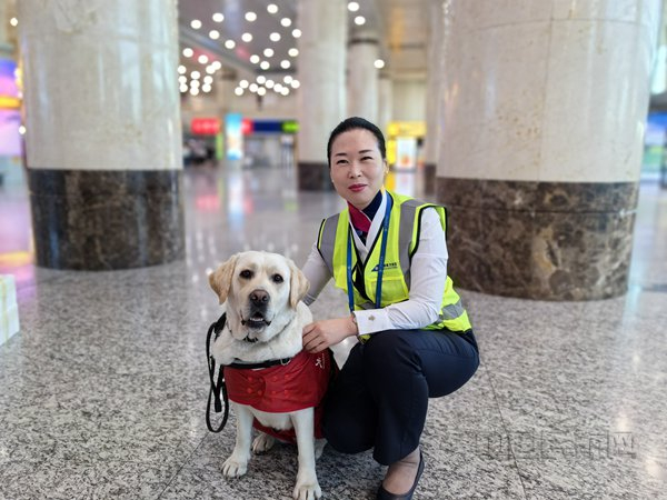 张璐与导盲犬“萌桔”（本文图片均由黎虹拍摄）