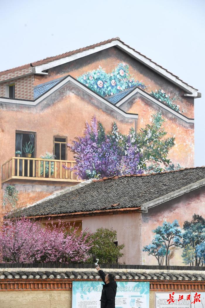 游客用手机记录美丽乡村彩绘墙。长江日报记者周超 摄