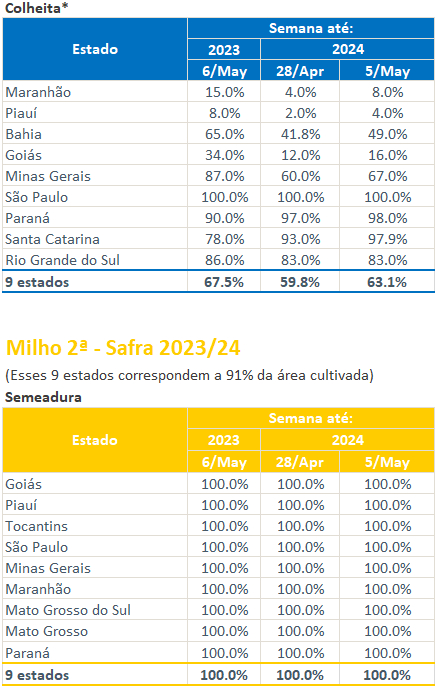 数据来源：CONAB、紫金天风期货研究所