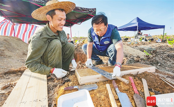 东方市大田镇，第三次全国土壤普查工作人员在户外采集土样。海南日报记者 陈元才 摄