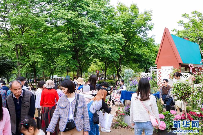 游客打卡家庭园艺展示获奖花园。新华网发（武汉市园林和林业局供图）