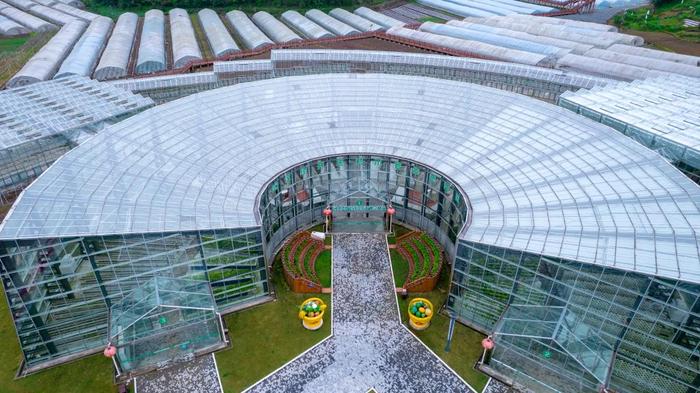 2024年4月24日，智能蔬菜园玻璃温室大棚。（黄定懿 摄）