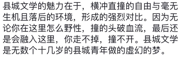 网友关于“县城文学”的讨论