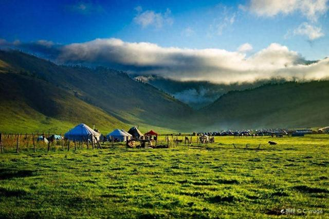 图为阿勒泰草原风光