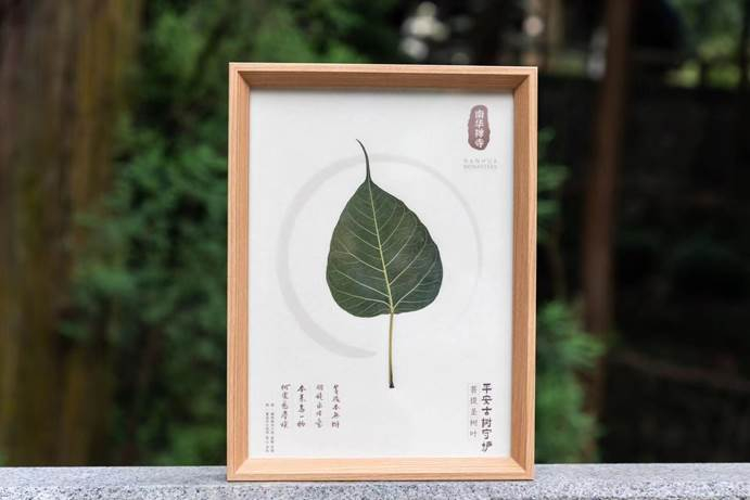 　　菩提古树叶纪念品