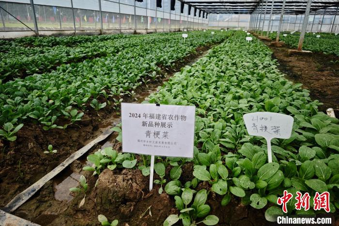 图说福建践行大食物观:特色产业开"食"源