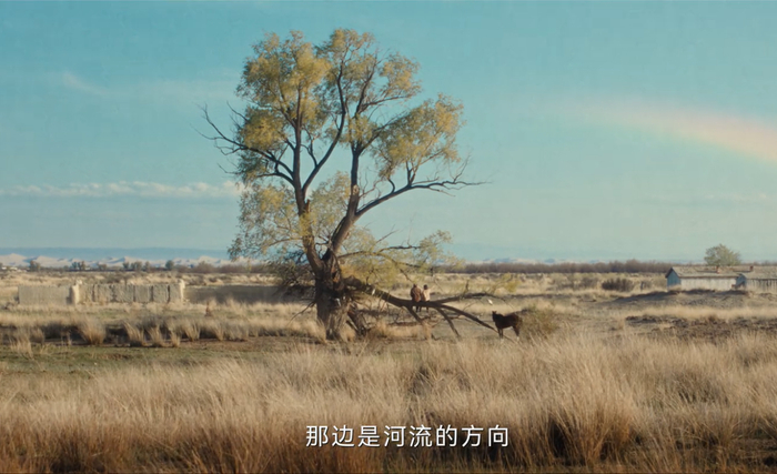 △《我的阿勒泰》剧照