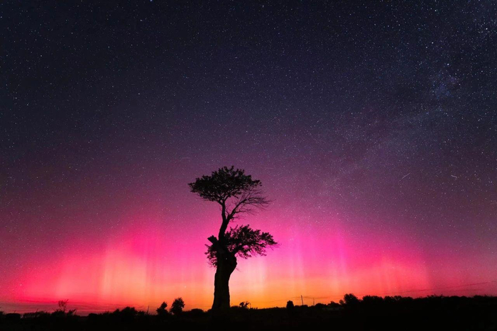 △来源：@AngelAn安久