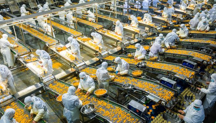湖北宜昌秭归县，食品企业的工人在柑橘罐头生产线上工作。