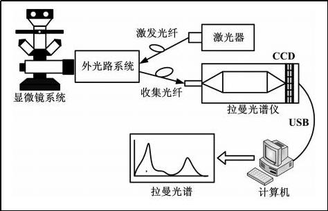 图2：拉曼系统原理示意图