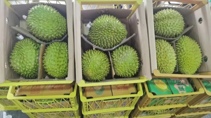 ▲水果批发市场，干尧榴莲1箱280元，每斤18元左右