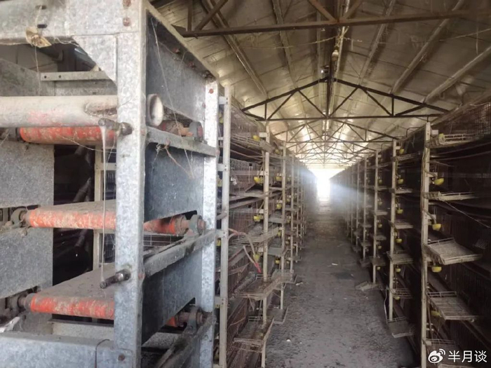 部分厂房里养殖设备上结着厚厚的蜘蛛网 水金辰 摄