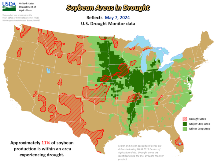 数据来源：USDA，紫金天风期货研究所