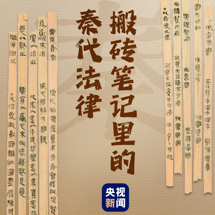 △2000多年前搬砖人的“工作笔记”里藏着秦律  点击图片了解更多