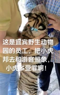 ▲网传视频截图