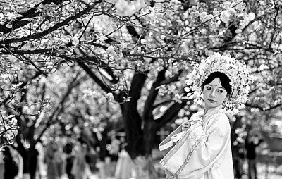     游客在西安青龙寺遗址景区赏花留影。新华社发