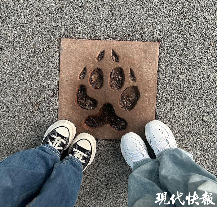 年轻人在红山森林动物园zoo walk