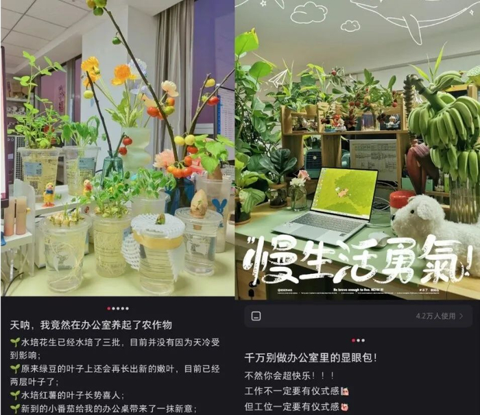 图片来源：小红书截图