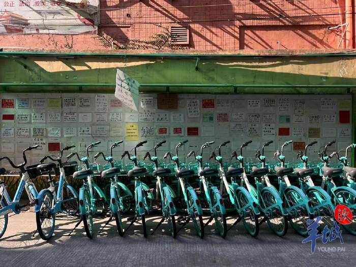 村口投放了大量共享单车。图/郑少敏