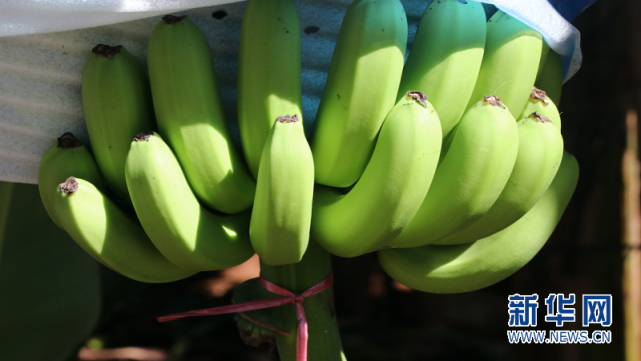 图片来源：新华网