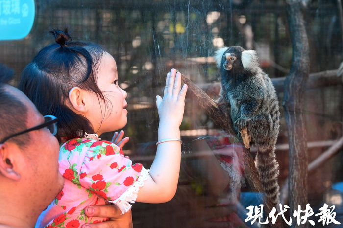 孩子与动物互动