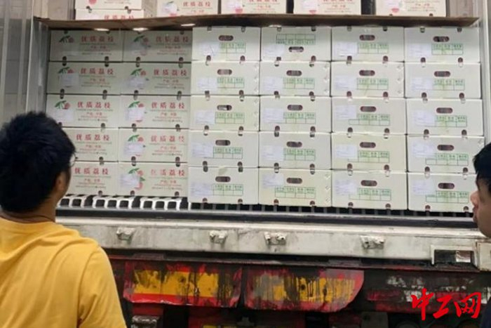 荔枝季，赖启春的拼多多店铺每天都打包好发货。赖启春 摄