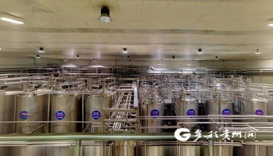 贵州·绿色工厂巡礼｜贵州南方乳业：一瓶牛奶的智慧“碳足迹”