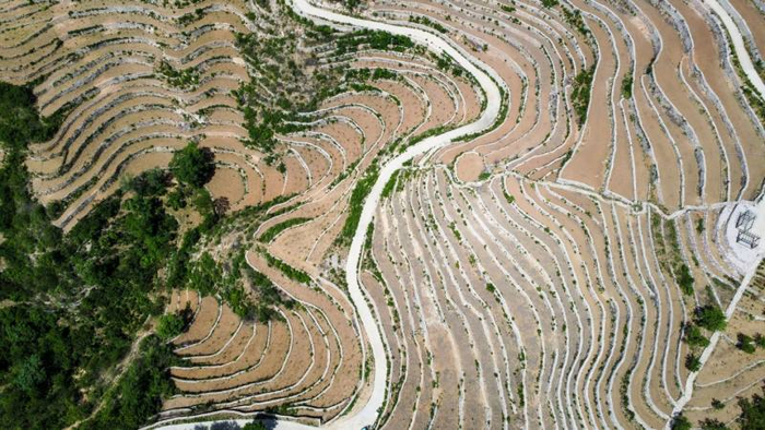 苇子水村有1200亩古梯田，最早可以追溯到600多年前，这里也是北京最大的连片旱作梯田。新京报记者 王子诚 摄