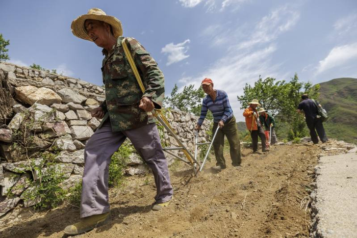 四位村民相互配合，凭借犁和播种机，有序推进耕种进程。新京报记者 王子诚 摄
