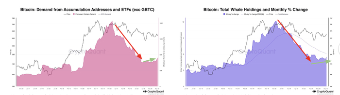 比特币鲸鱼再次处于“加速模式”。来源：CryptoQuant