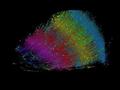 迄今最精细人脑三维“地图”亮相：半粒米大小的脑组织，包含近1.5亿个神经突触