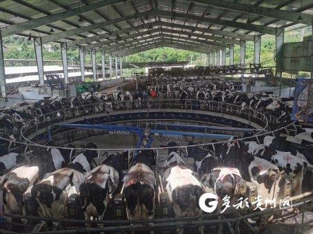 贵州·绿色工厂巡礼｜贵州南方乳业：一瓶牛奶的智慧“碳足迹”