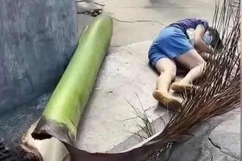 图源：科普广州