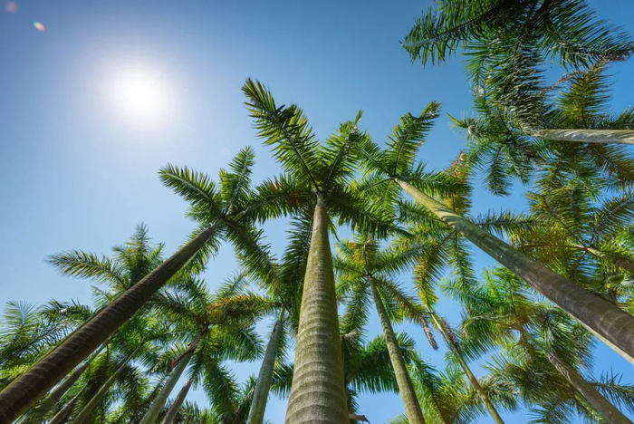 图源：图虫创意