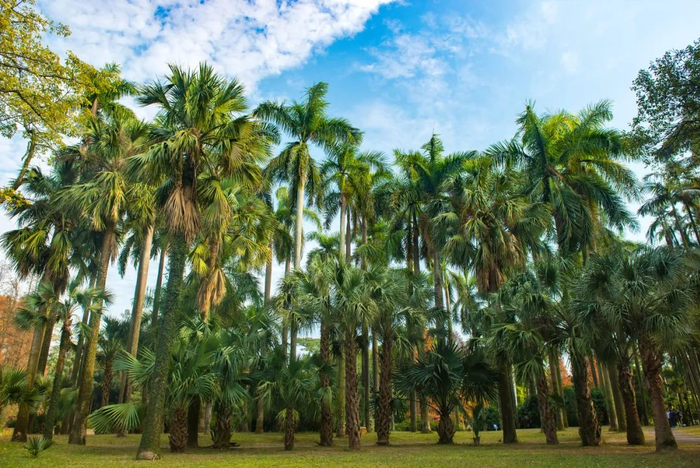 图源：图虫创意