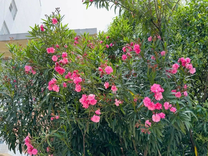 图源：阜阳交通广播