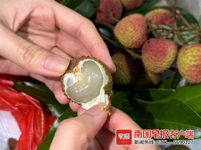 ▲医生表示，荔枝皮晒干后煮水可起到降火的作用。记者 邹财麟 摄