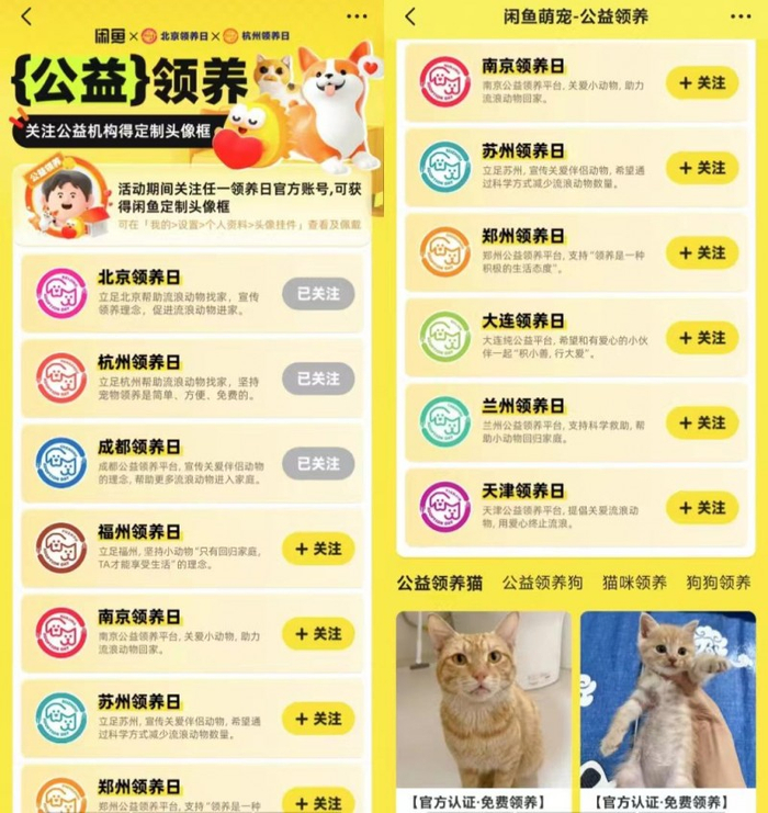 （图：闲鱼联合超10城公益组织举办0元领养活动）