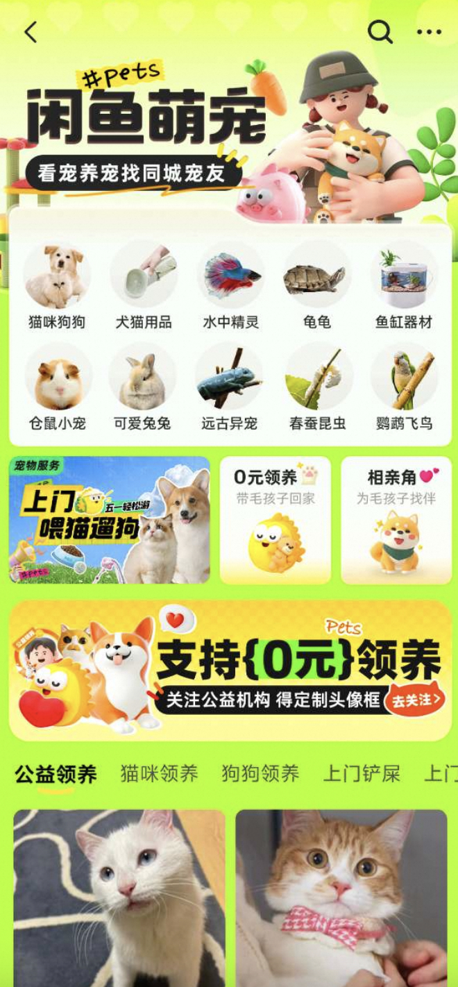 （图：闲鱼萌宠版块上已有多元宠物服务）