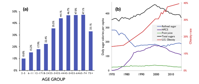 图注：（a）威斯康星州2015年按年龄组划分的肥胖率（b）1970年至2017年美国人均每日糖消费量