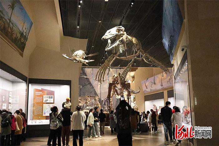 自今年年初正式开馆以来，中国古动物馆（保定自然博物馆）已成为游客的热门打卡地。 河北省文物局供图