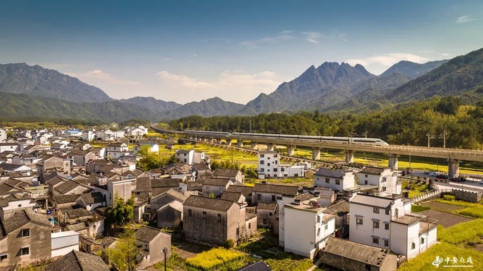 高速行驶的列车与金黄的油菜花、皖南民居，构成一幅古朴又充满现代气息的美丽画卷 刘玉才摄